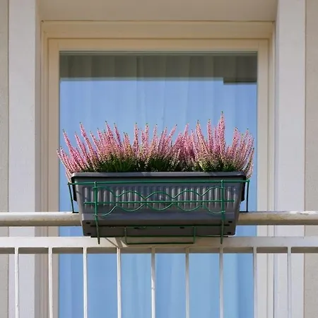 Apartment Casa Pilli