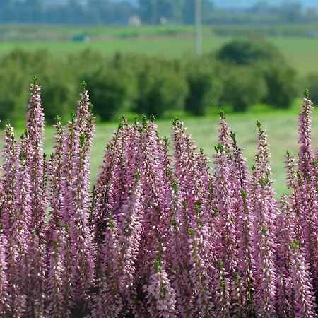 Appartement Casa Pilli Guarene