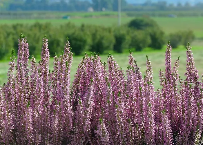 Apartamento Casa Pilli Guarene